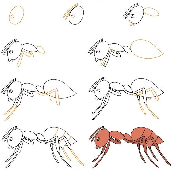 Idée de fourmi (15) dessin