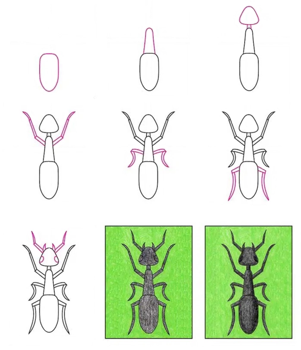 Idée de fourmi (19) dessin