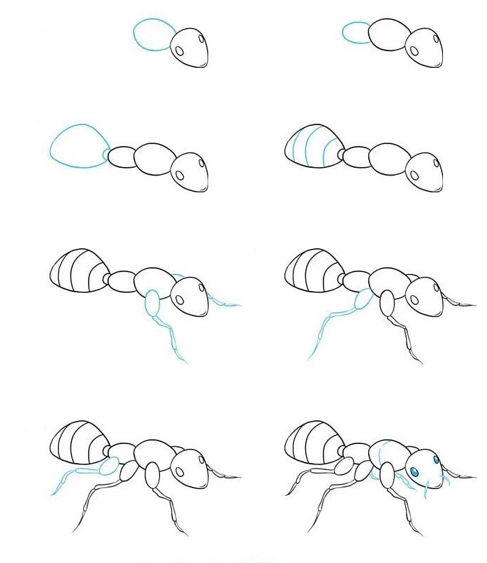 Idée de fourmi (21) dessin