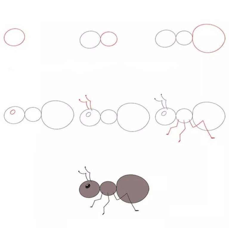 Idée de fourmi (3) dessin