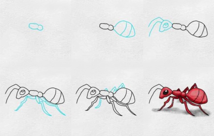 Idée de fourmi (5) dessin