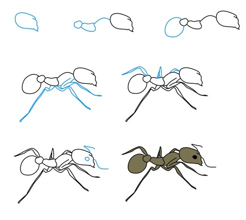 Idée de fourmi (6) dessin
