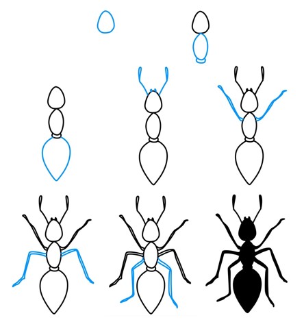 Idée de fourmi (7) dessin