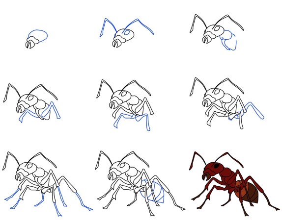 Idée de fourmi (9) dessin