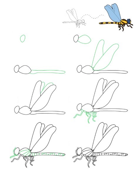 Idée de libellule (16) dessin