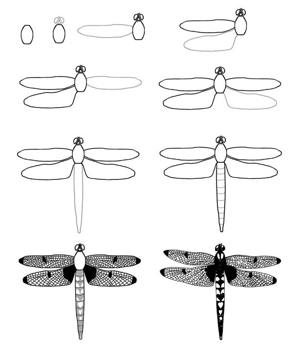 Idée de libellule (19) dessin