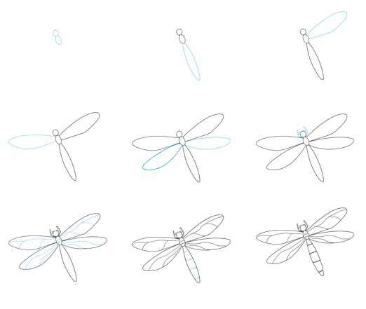 Idée de libellule (2) dessin