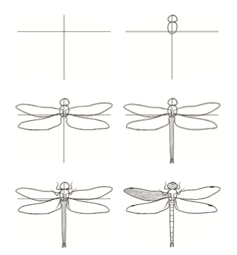 Idée de libellule (27) dessin