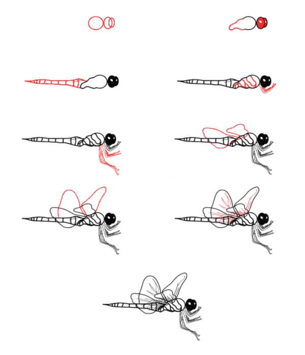 Idée de libellule (31) dessin