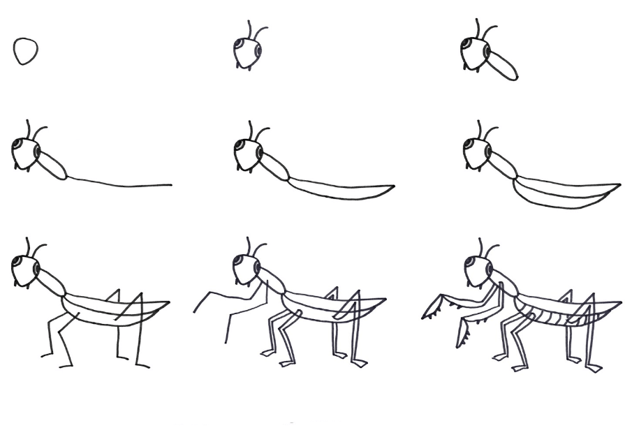 Idée de mante (13) dessin