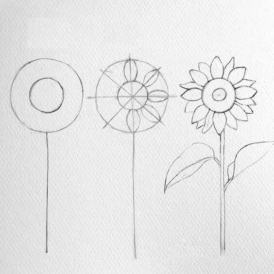 Idée de tournesols (30) dessin