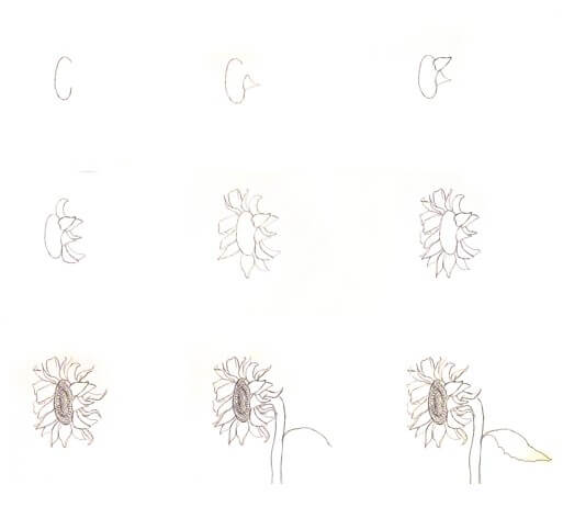 Idée de tournesols (9) dessin