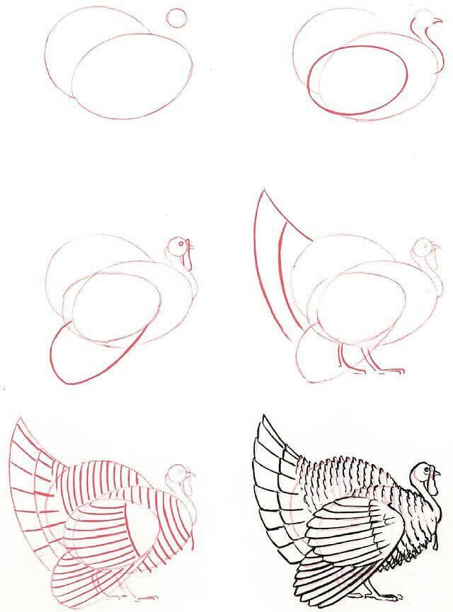 Idée de Turquie (15) dessin