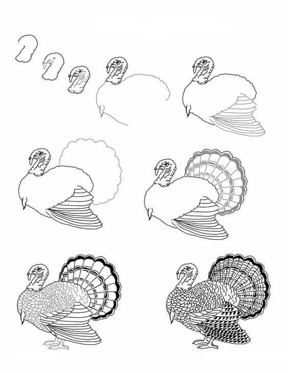 Idée de Turquie (2) dessin