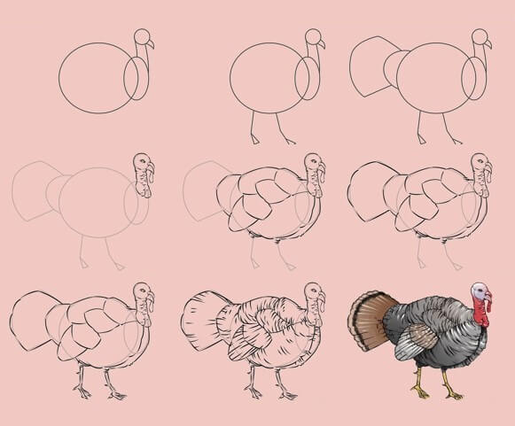 Idée de Turquie (24) dessin