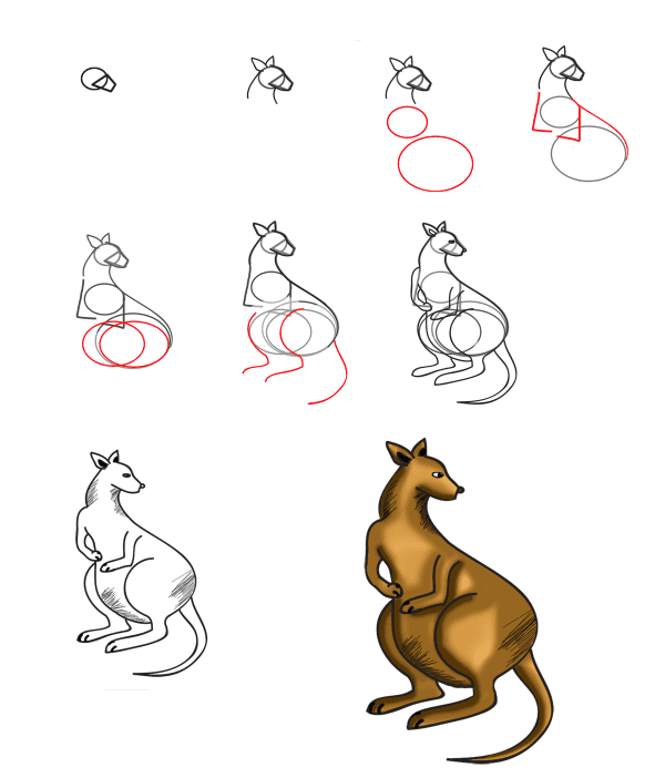 Idée kangourou (11) dessin