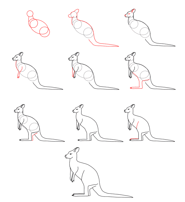Idée kangourou (13) dessin