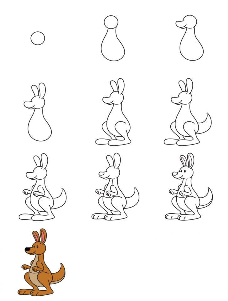 Idée kangourou (2) dessin