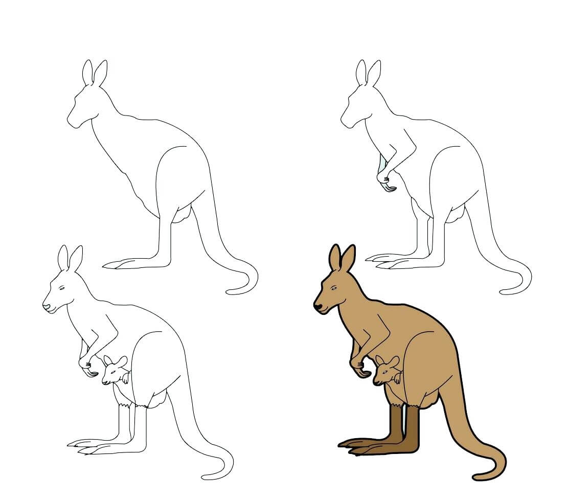 Idée kangourou (3) dessin