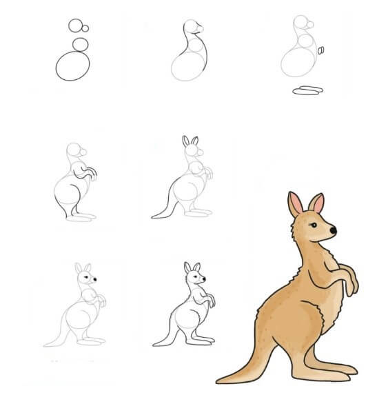 Idée kangourou (5) dessin