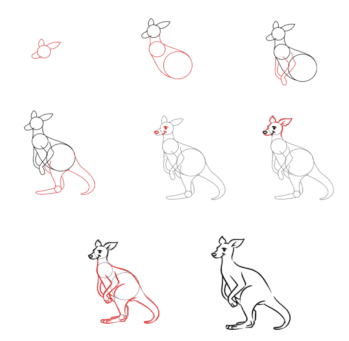 Idée kangourou (7) dessin