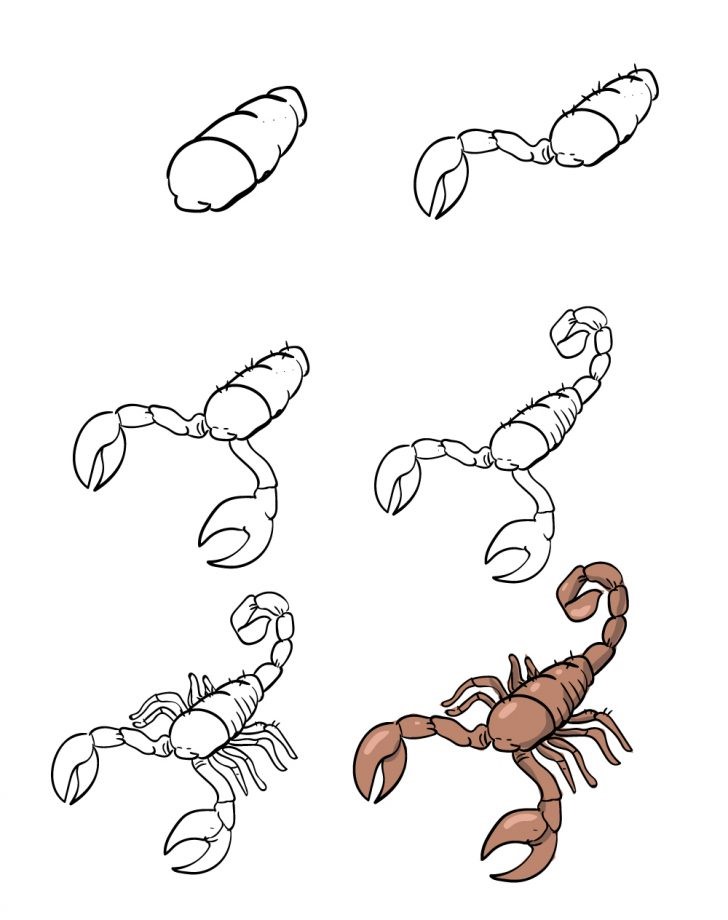 Idée Skorpioni (1) dessin