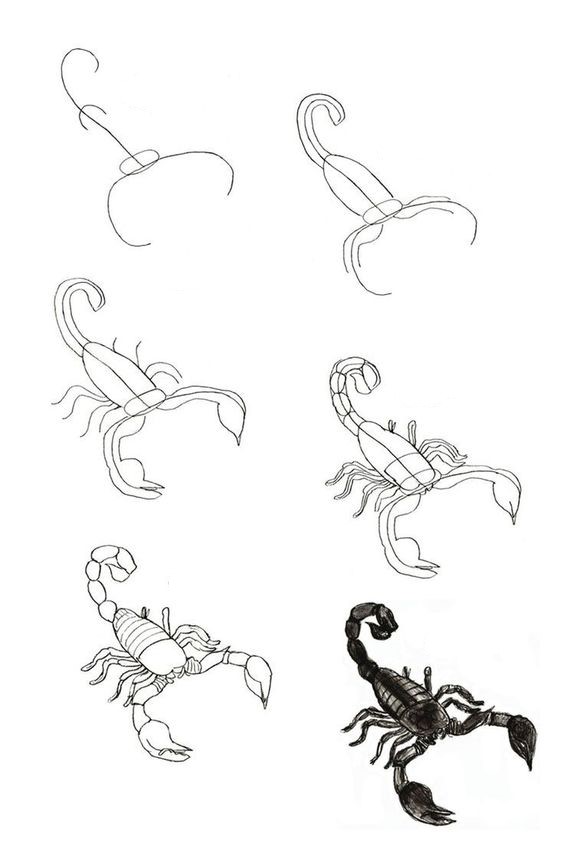 Idée Skorpioni (11) dessin