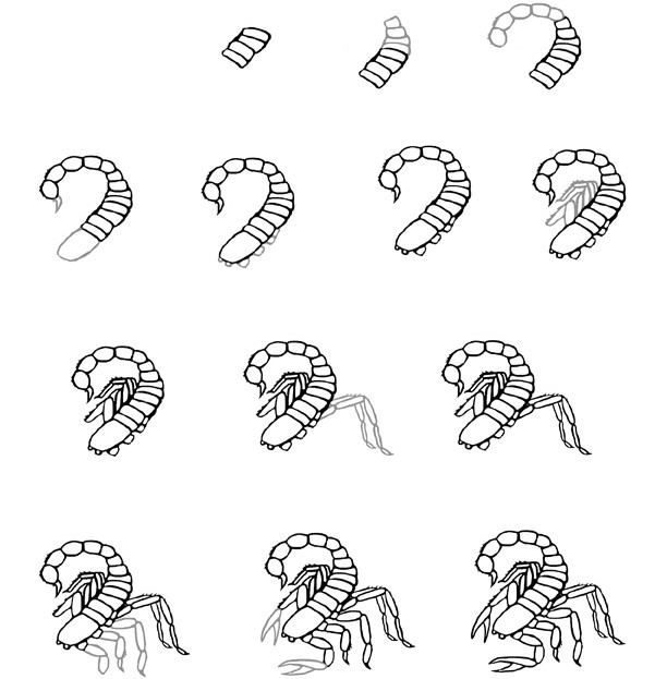 Idée Skorpioni (12) dessin