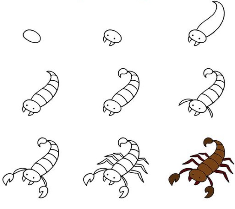 Idée Skorpioni (2) dessin