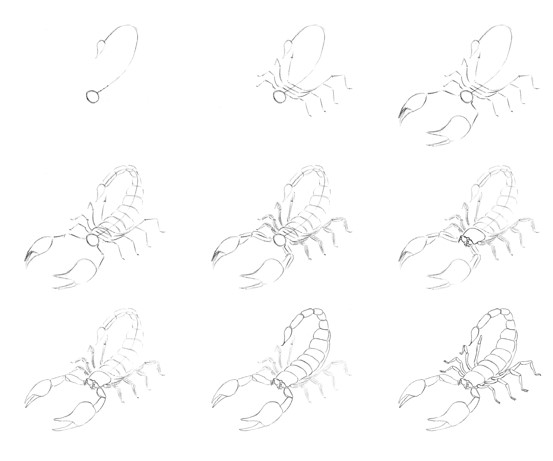 Idée Skorpioni (4) dessin