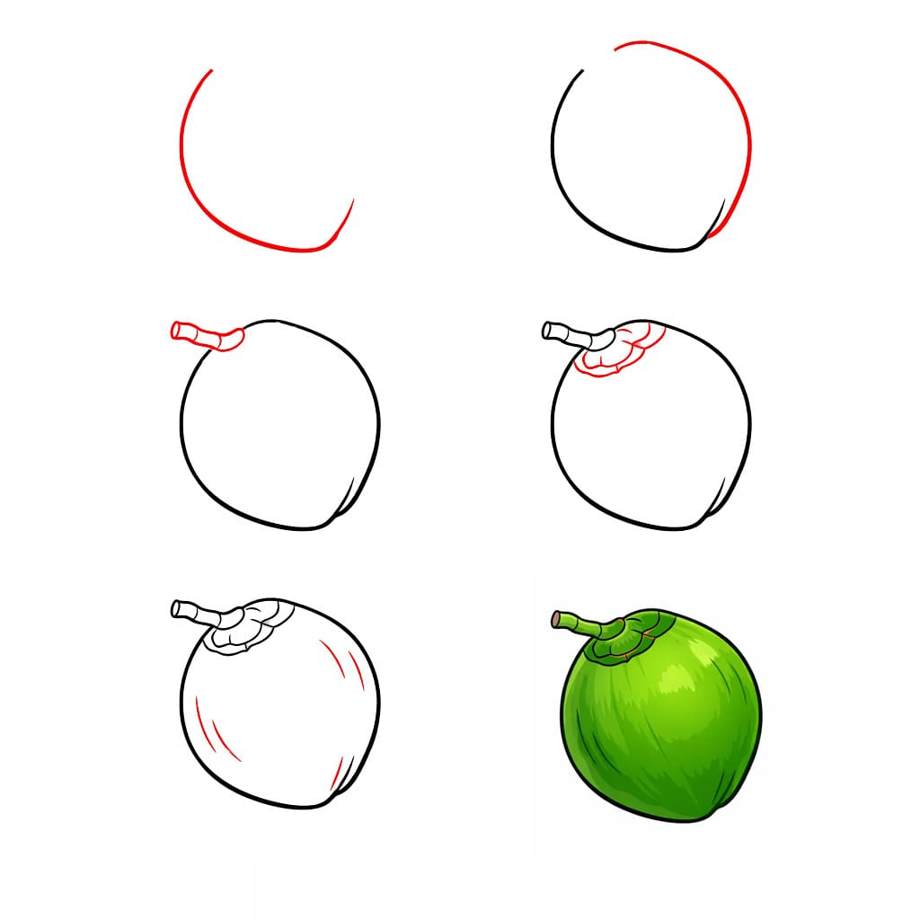 Jeune noix de coco dessin