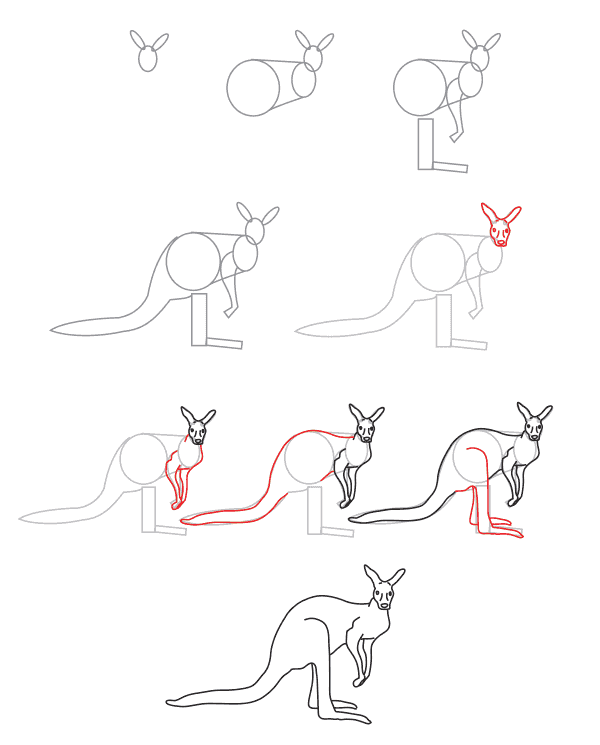 Kangourou pour les enfants (4) dessin