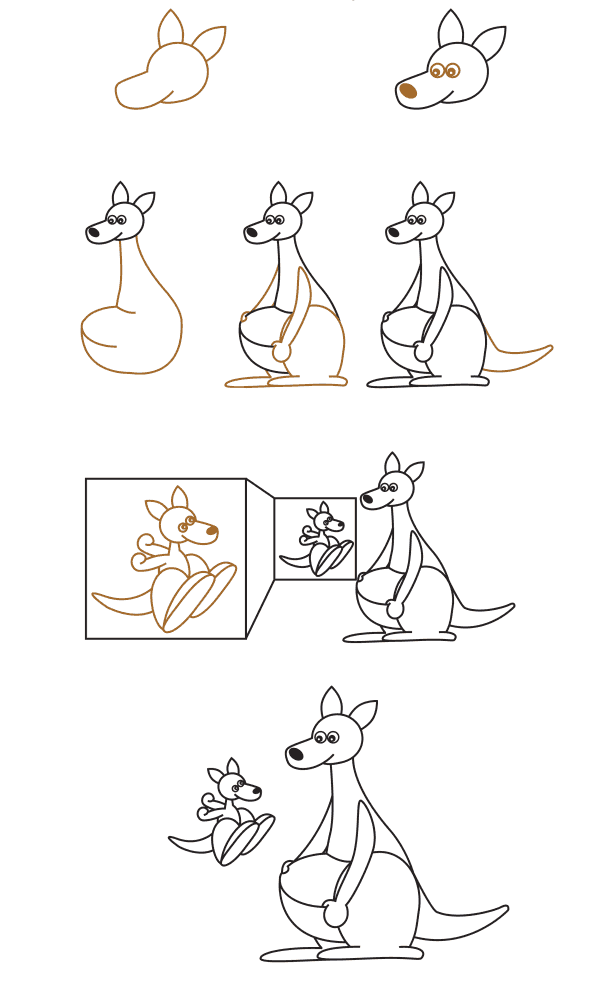 Kangourou réaliste (3) dessin