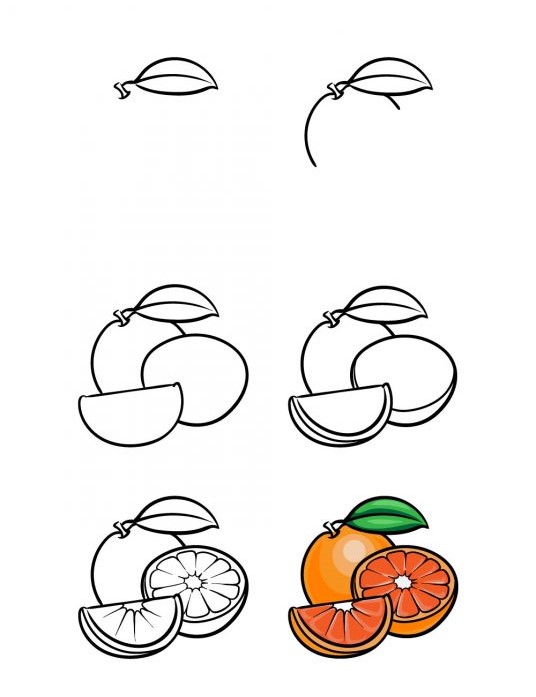 Les oranges sont coupées de plusieurs façons dessin