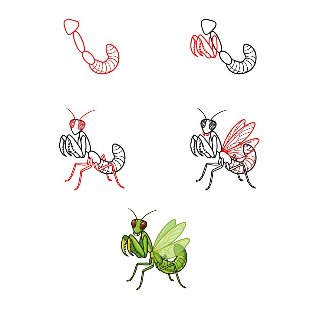 Mante prête à voler dessin