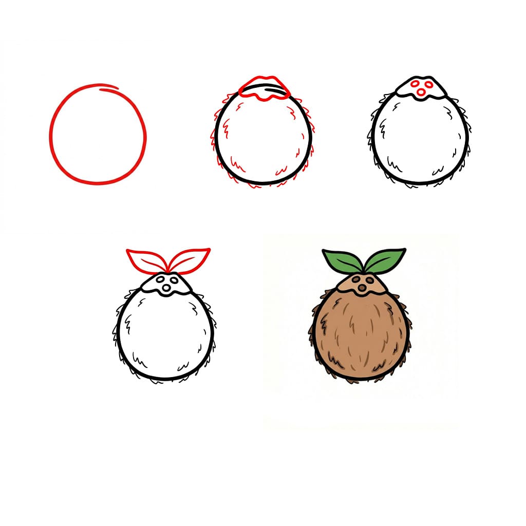 Noix de coco et feuilles dessin