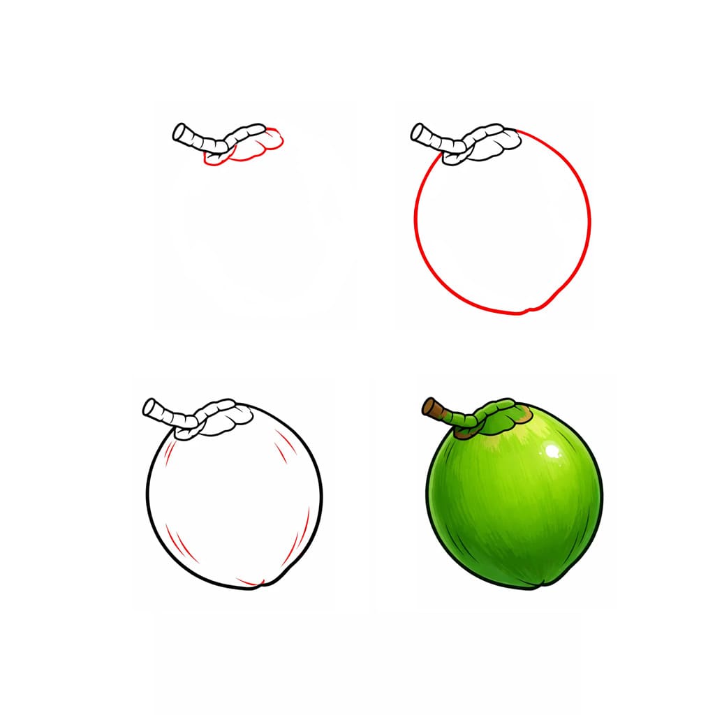 Noix de coco tropicale dessin