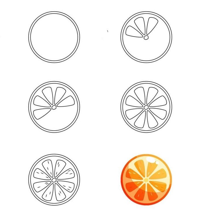 Orange coupée en deux 4 dessin