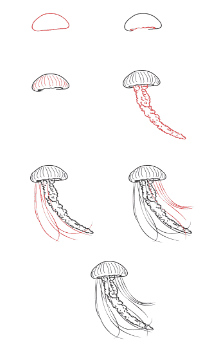 Sérénité des méduses dessin