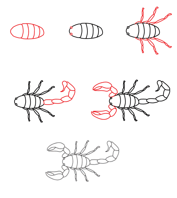 Scorpion dessin
