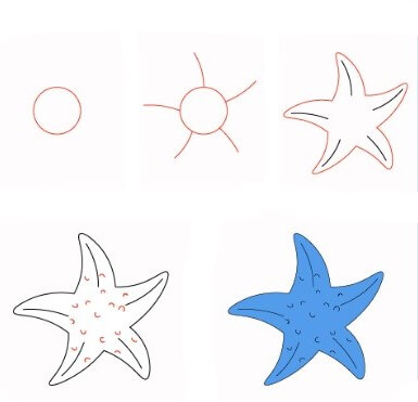 Étoile de mer bleue dessin
