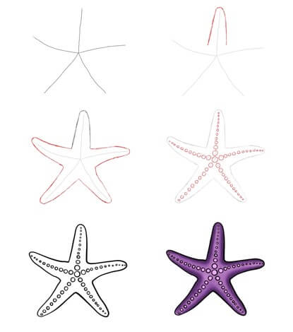 Étoile de mer violette dessin