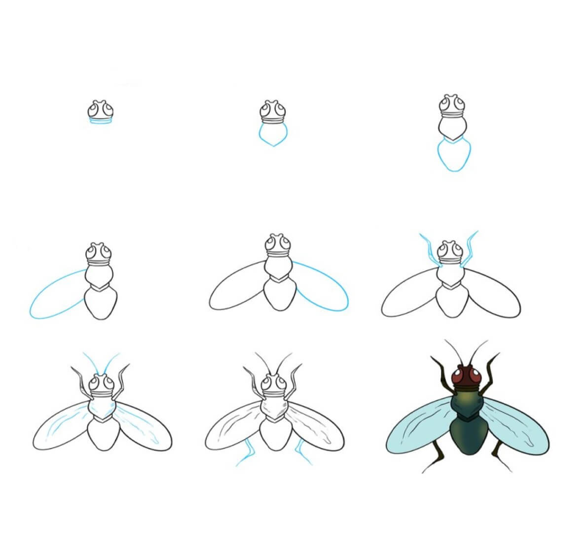 Une idée de mouche (1) dessin