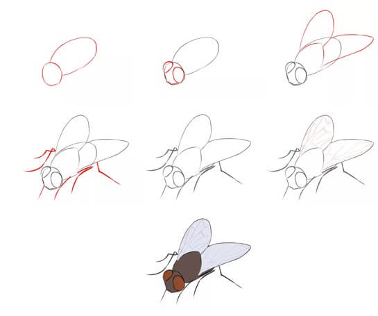 Une idée de mouche (12) dessin