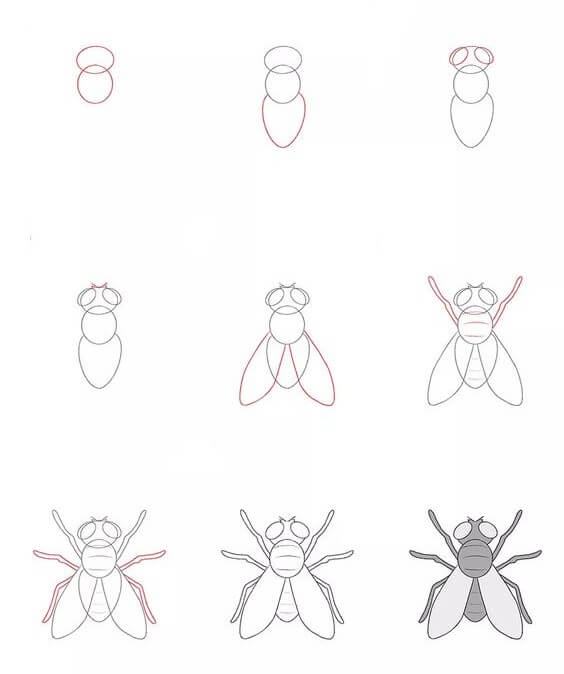 Une idée de mouche (5) dessin