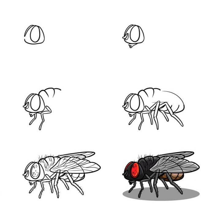 Une idée de mouche (7) dessin