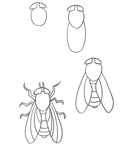 Une idée de mouche (8) dessin
