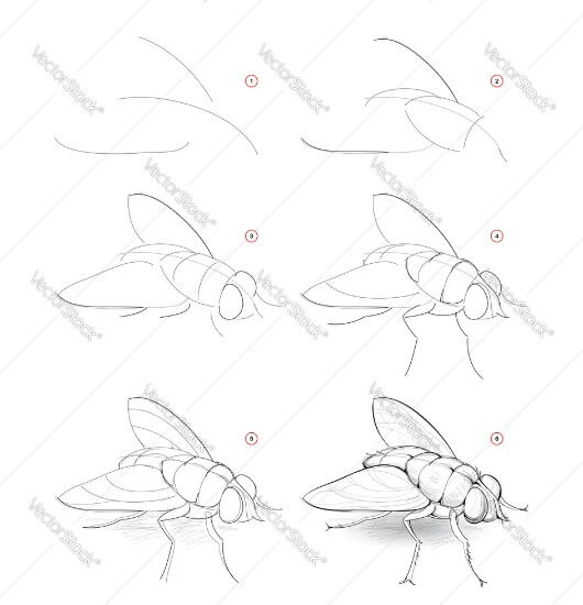 Une idée de mouche (9) dessin