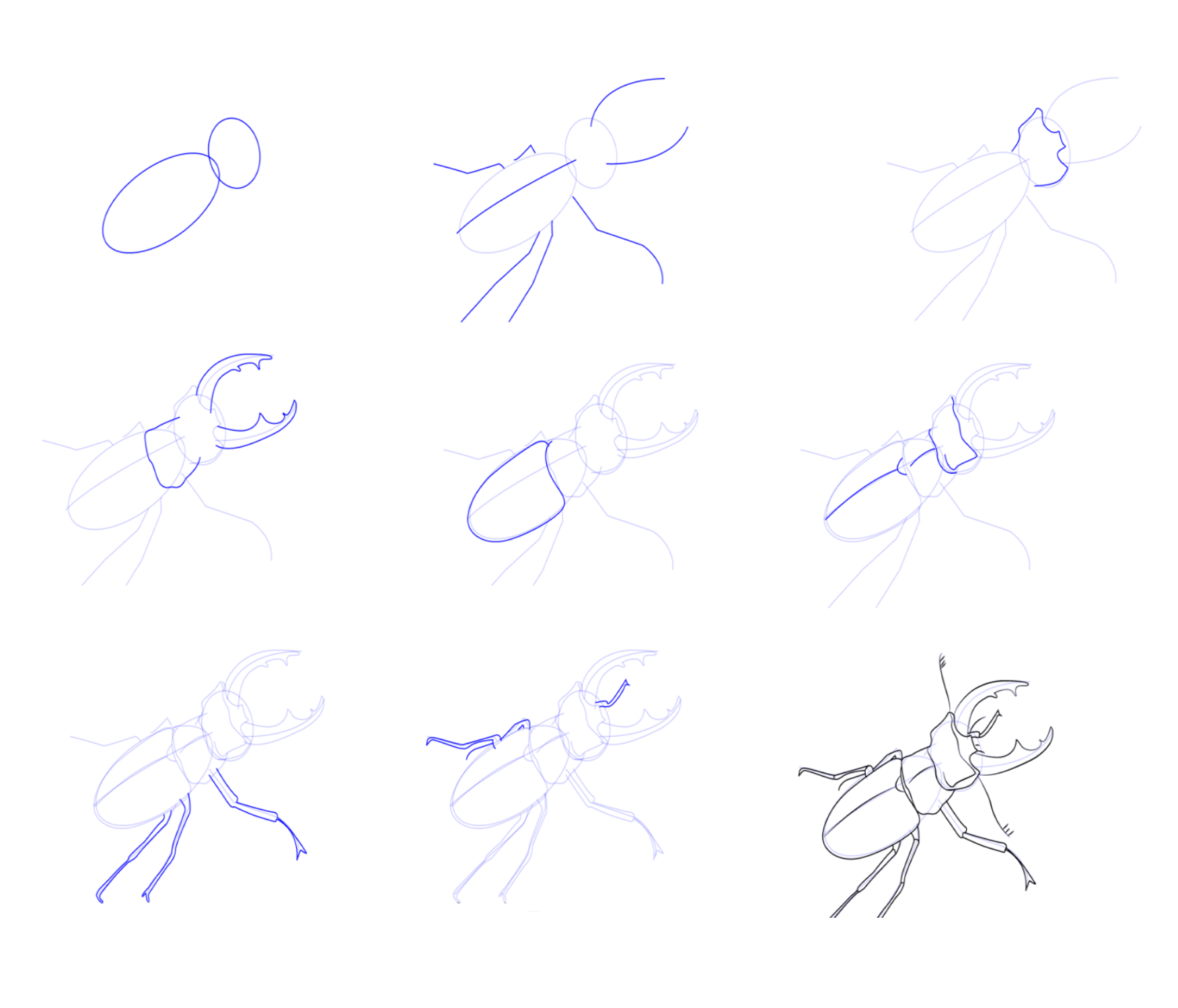 Une idée de scarabée (1) dessin