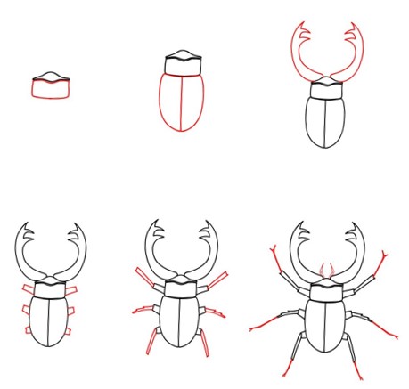 Une idée de scarabée (10) dessin